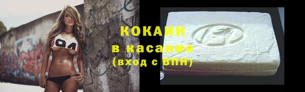 твердый Алзамай