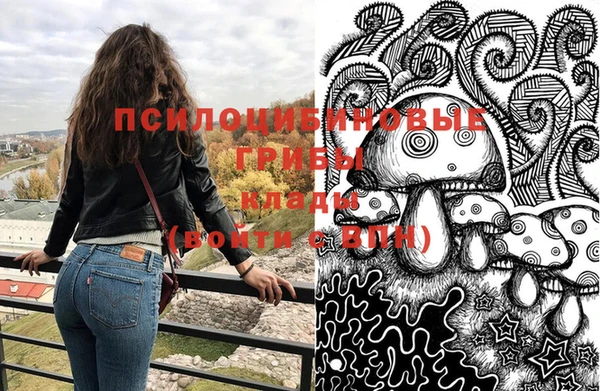 СК Алексеевка