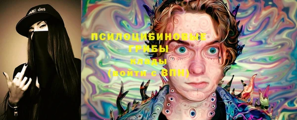 СК Алексеевка