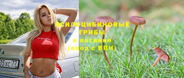 ГАЛЛЮЦИНОГЕННЫЕ ГРИБЫ Алексин