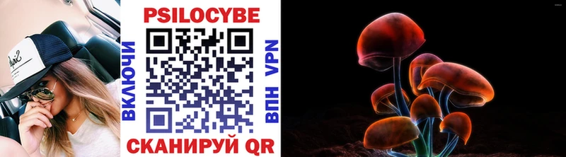 Псилоцибиновые грибы ЛСД  кракен онион  Кимры 